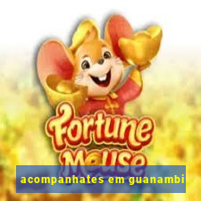 acompanhates em guanambi